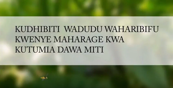 Video in Swahili